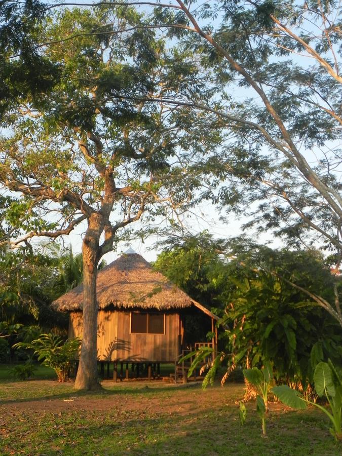 Green Diamond Amazon Lodge Пуэрто-Мальдонадо Экстерьер фото